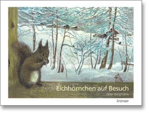 Eichhörnchen auf Besuch